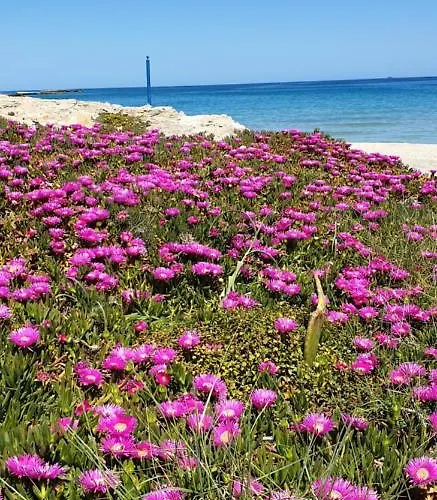 Dimora Acamya By Barbarhouse بيت ضيافة